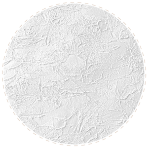 Vinilas ant flizelino brush