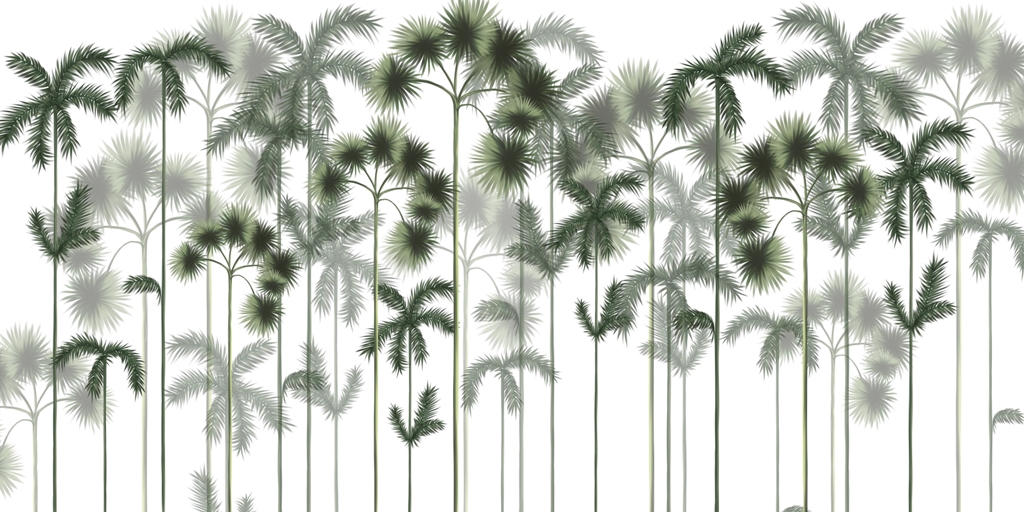 Fototapeta-Zielony-Las-Palmowy_2007640790