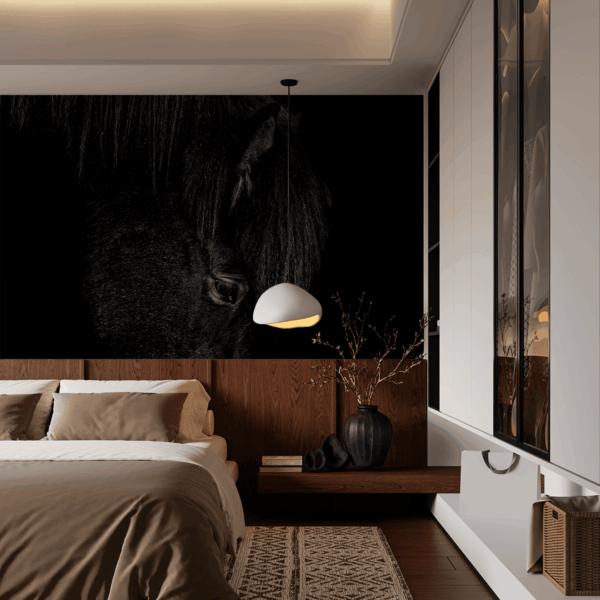 Fototapetai Nakties tyla