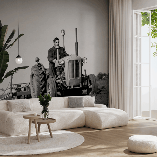 Fototapetai Žemės ūkio taku