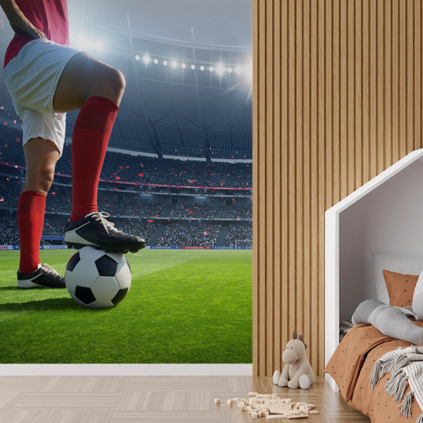 Fototapetai Futbolininkas ant vejos