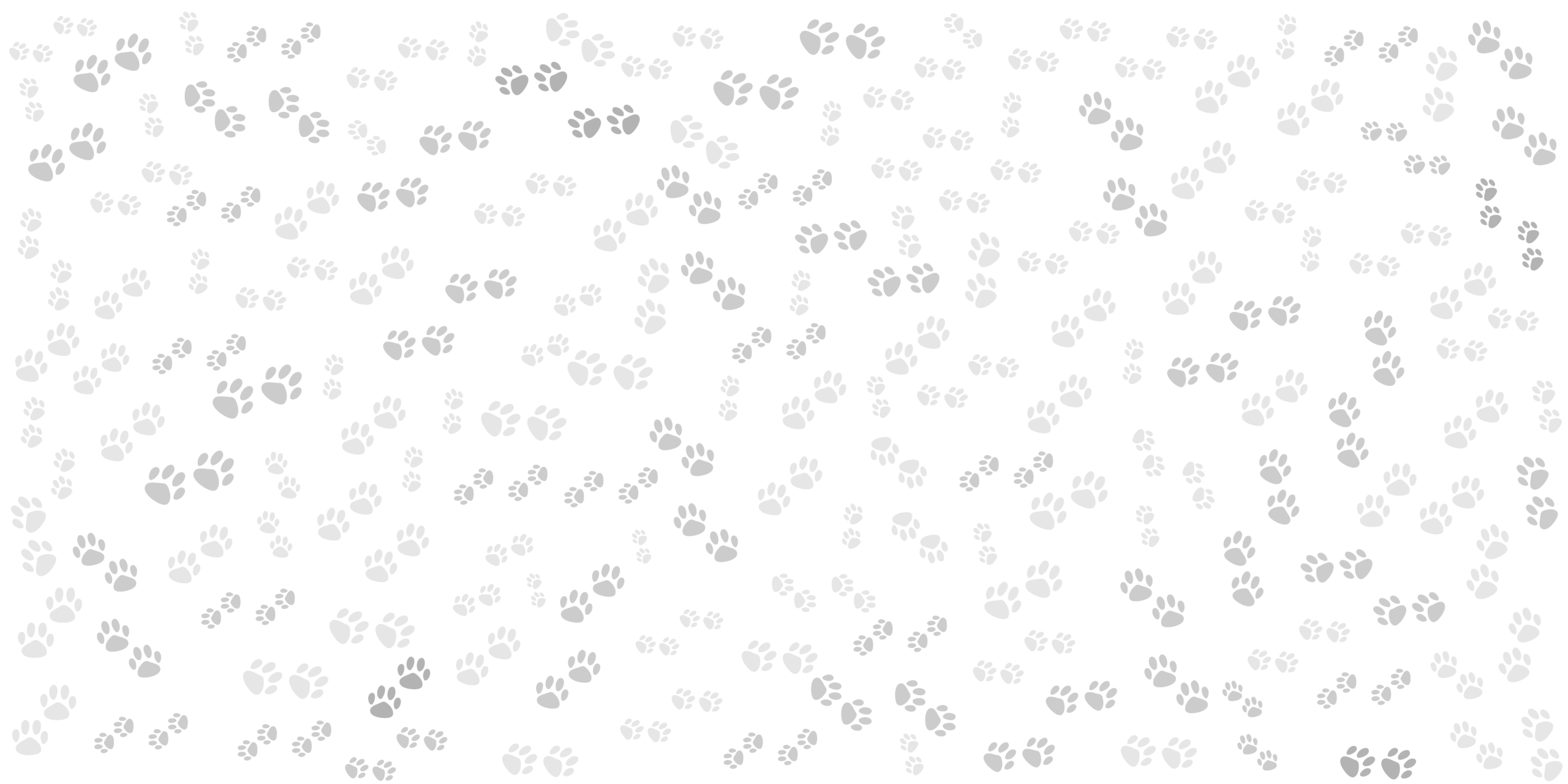 2464523389-scaled-1